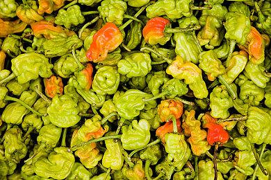 《空之轨迹FC：重制版》公布 2025年发售